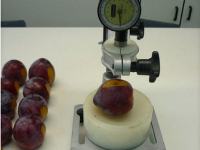 COMPARISON OF THE 11-MM PENETROMETER PLUNGER AGAINST THE 8-MM PLUNGER