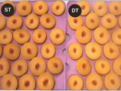 OPTIMUM HARVEST MATURITIES AND COLD STORAGE POTENTIAL OF NEW PLUM VARIETIES