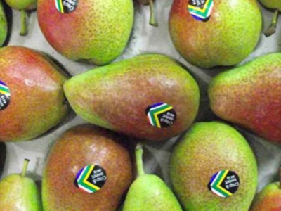 CONSUMER ACCEPTANCE STUDY OF EARLY MARKETED FORELLE PEARS IN THE UK & GERMANY